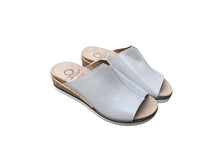 Afbeelding in Gallery-weergave laden, DR.BRINKMANN SLIPPER UITNEEMBAAR VOETBED PLATINO

